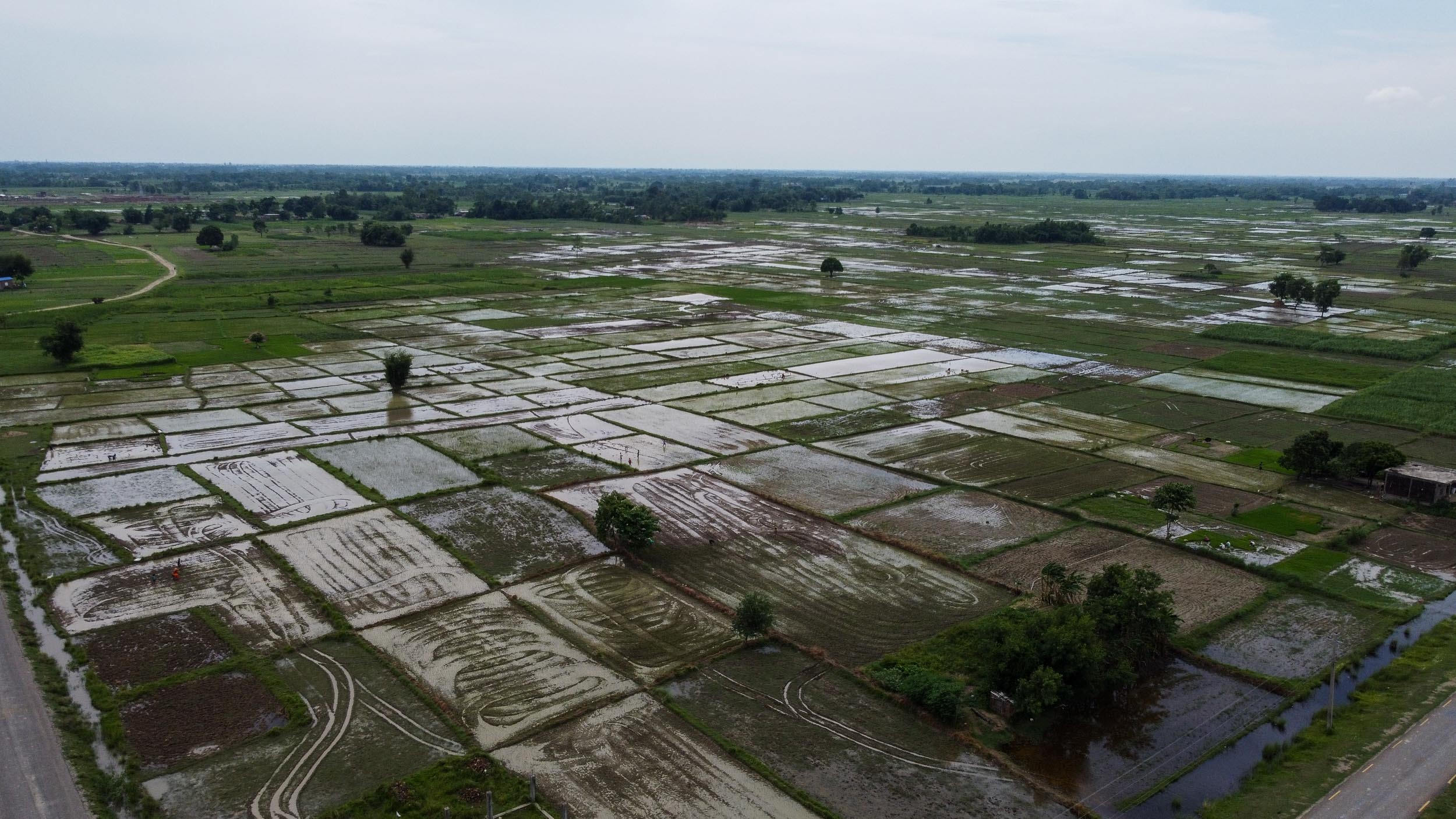 Lumbini residents pray for rain