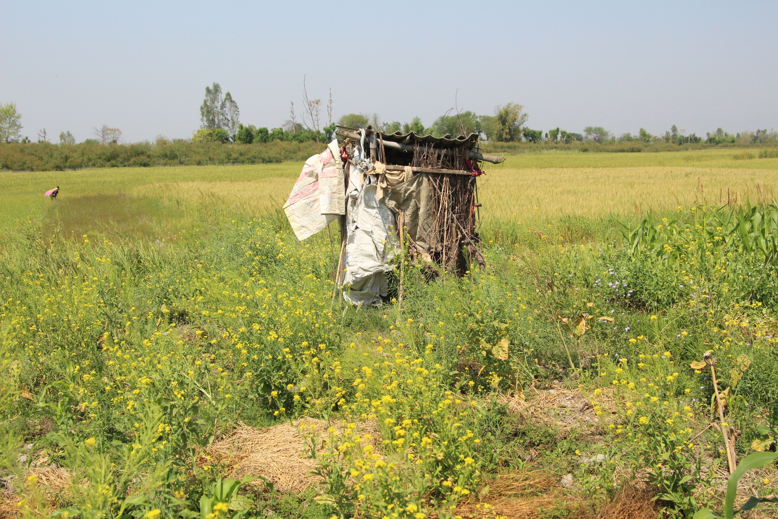 Making the Invisible Visible: World Toilet Day 2022